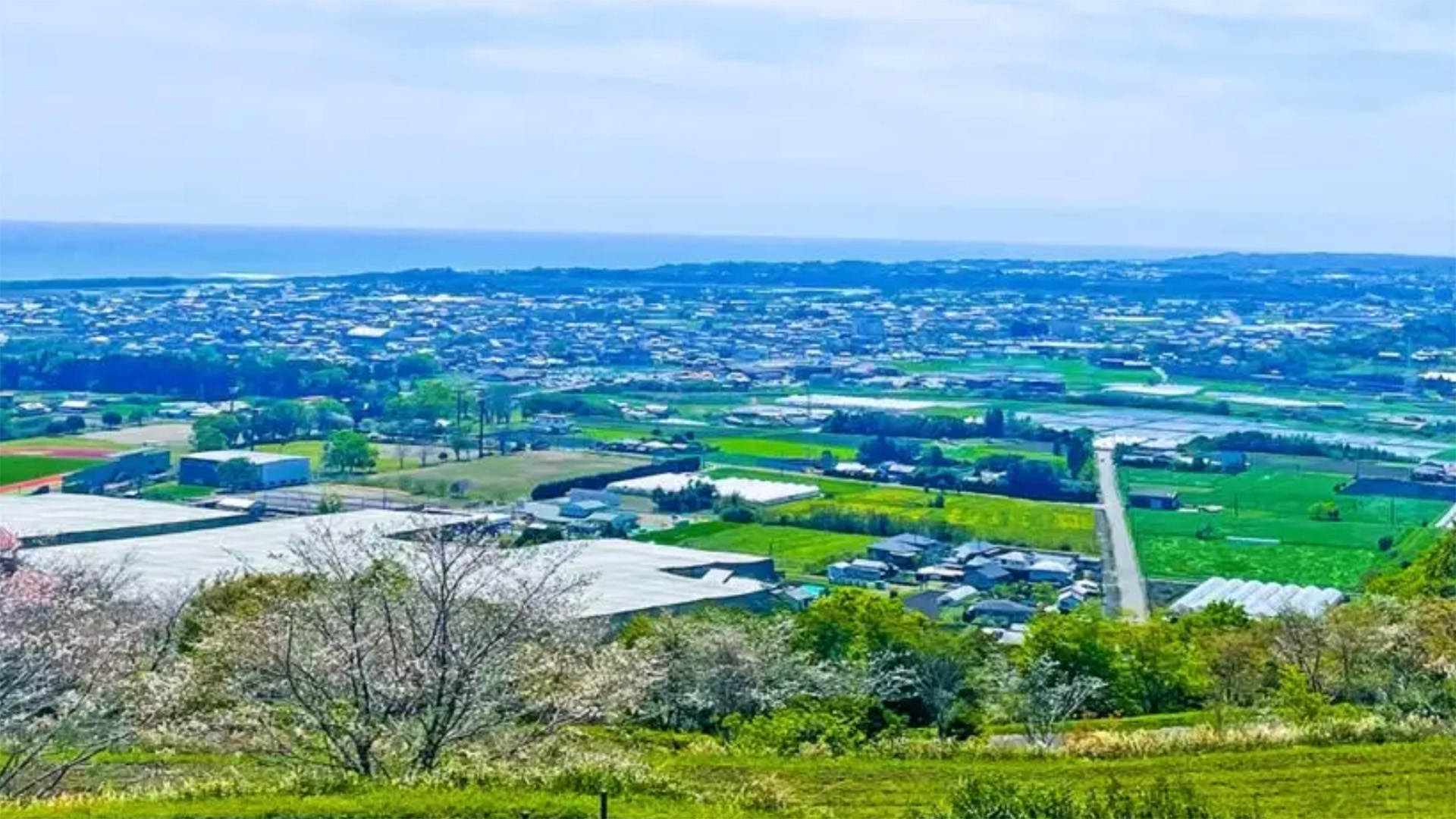 tsuno